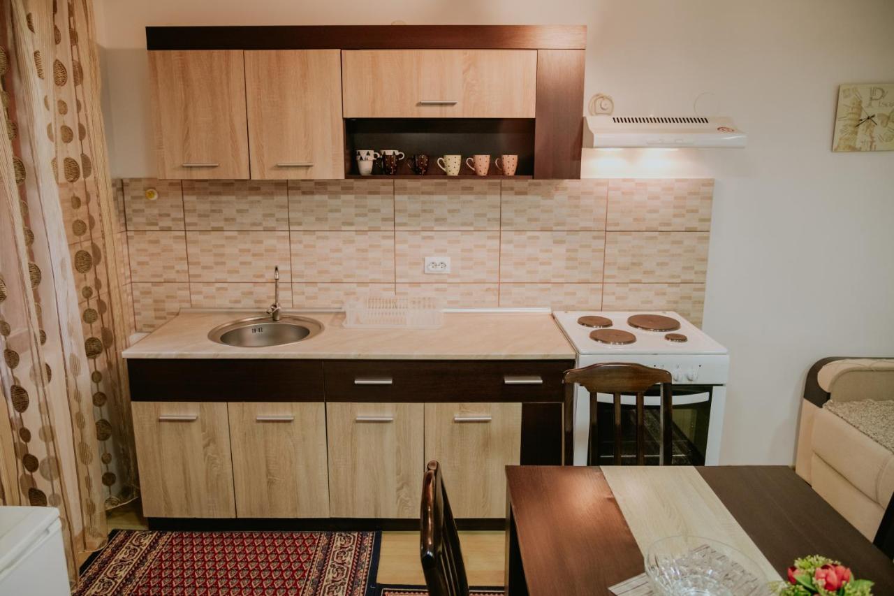 Vila Dinka Soko Banja Exteriör bild